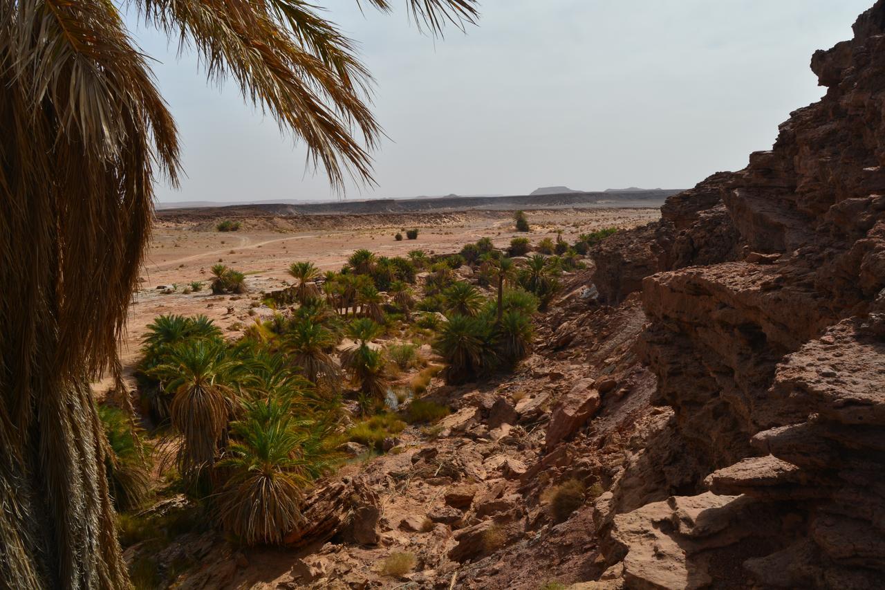 Kasbah Luna Del Sur エルフード エクステリア 写真